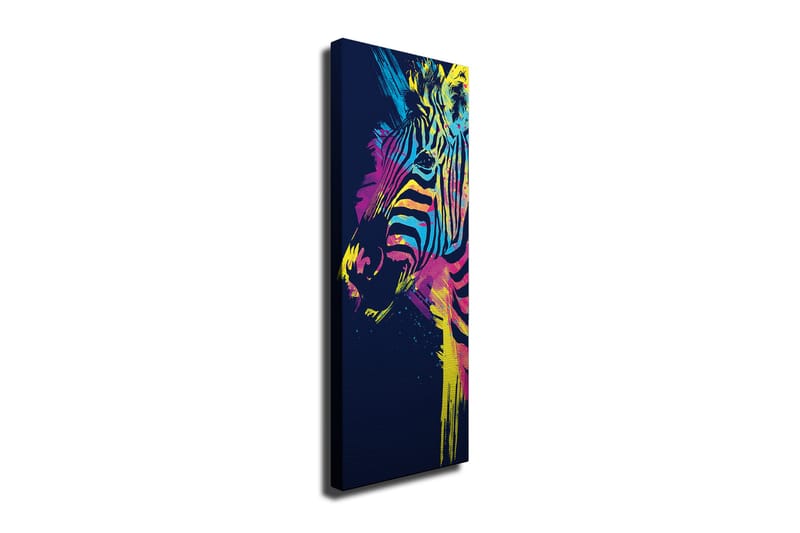 Canvasbilde Dekorativ - Flerfarget - Interiør - Maleri & posters - Lerretsbilder