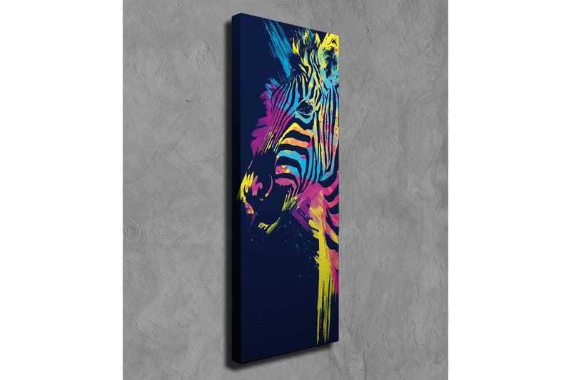 Canvasbilde Dekorativ - Flerfarget - Interiør - Maleri & posters - Lerretsbilder