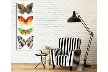 Canvasbilde Dekorativ - Flerfarget - Interiør - Maleri & posters - Lerretsbilder