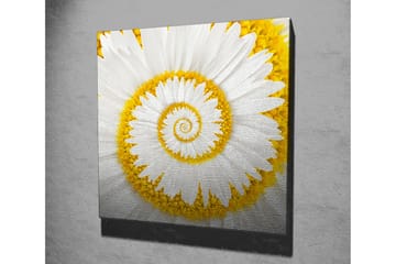 Canvasbilde Dekorativ - Flerfarget - Interiør - Maleri & posters - Lerretsbilder
