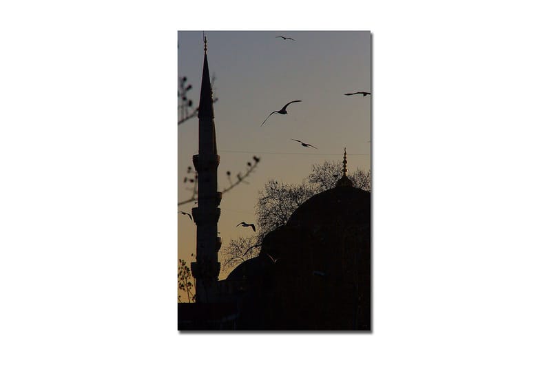 Canvasbilde Dekorativ - Flerfarget - Interiør - Maleri & posters - Lerretsbilder