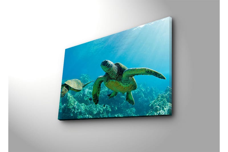 Canvasbilde Dekorativ - Flerfarget - Interiør - Maleri & posters - Lerretsbilder