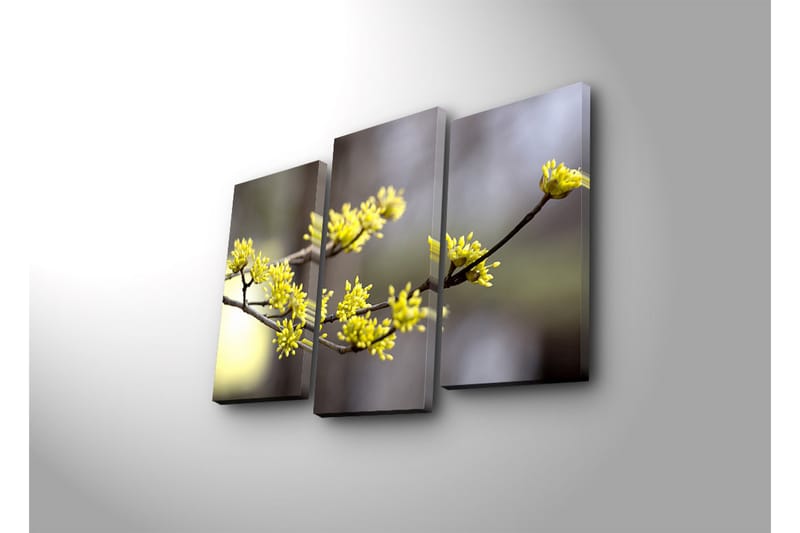 Canvasbilde Dekorativ LED-belysning 3 Deler - Flerfarget - Interiør - Maleri & posters - Lerretsbilder