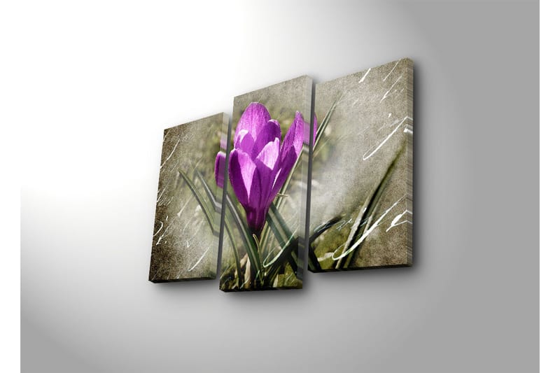 Canvasbilde Dekorativ LED-belysning 3 Deler - Flerfarget - Interiør - Maleri & posters - Lerretsbilder