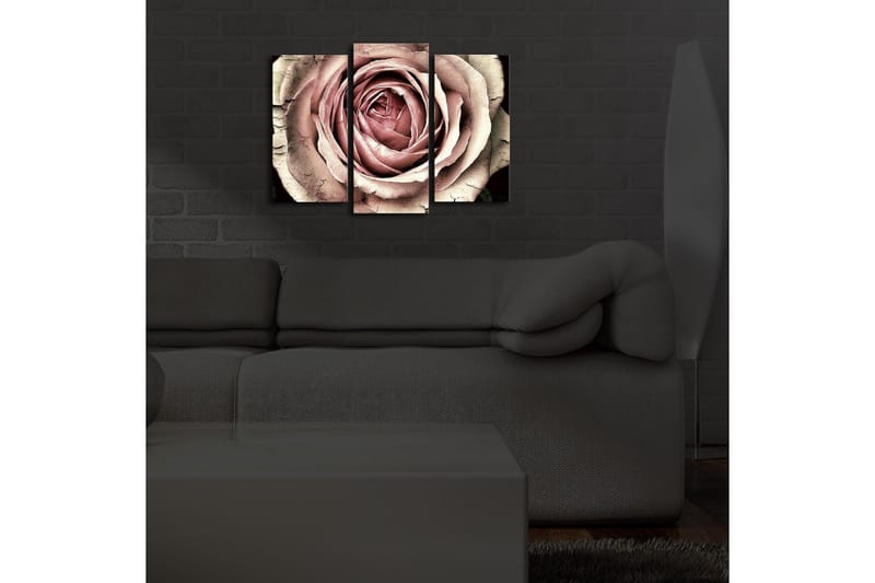 Canvasbilde Dekorativ LED-belysning 3 Deler - Flerfarget - Interiør - Maleri & posters - Lerretsbilder