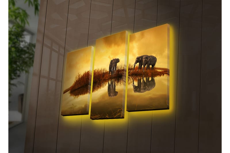 Canvasbilde Dekorativ LED-belysning 3 Deler - Flerfarget - Interiør - Maleri & posters - Lerretsbilder
