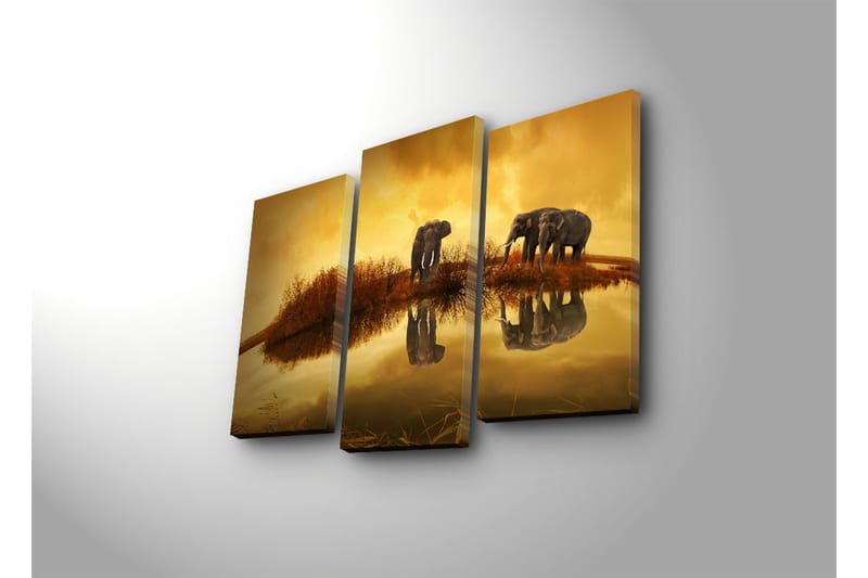 Canvasbilde Dekorativ LED-belysning 3 Deler - Flerfarget - Interiør - Maleri & posters - Lerretsbilder