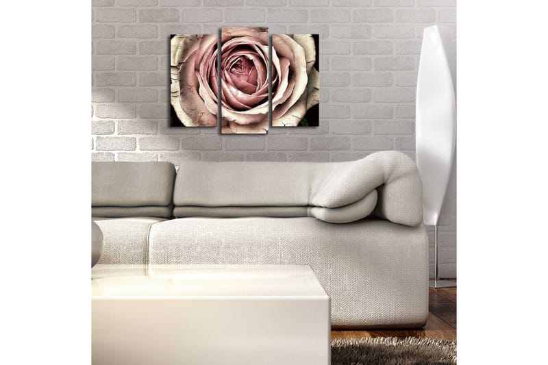 Canvasbilde Dekorativ LED-belysning 3 Deler - Flerfarget - Interiør - Maleri & posters - Lerretsbilder