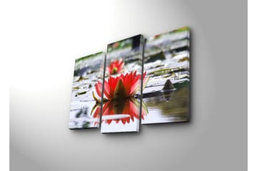 Canvasbilde Dekorativ LED-belysning 3 Deler - Flerfarget - Interiør - Maleri & posters - Lerretsbilder