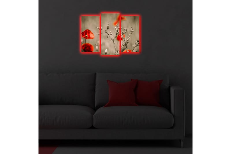 Canvasbilde Dekorativ LED-belysning 3 Deler - Flerfarget - Interiør - Maleri & posters - Lerretsbilder
