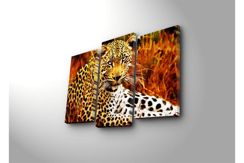 Canvasbilde Dekorativ LED-belysning 3 Deler - Flerfarget - Interiør - Maleri & posters - Lerretsbilder
