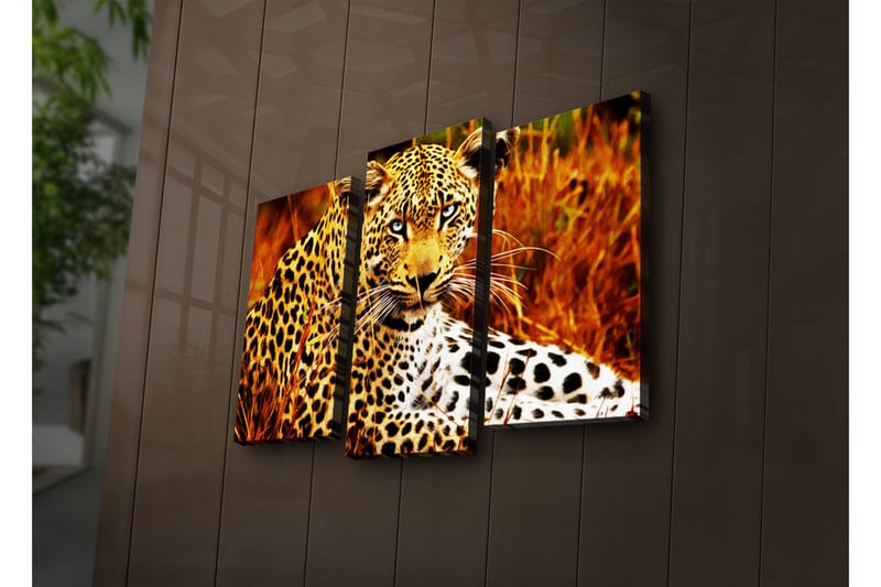 Canvasbilde Dekorativ LED-belysning 3 Deler - Flerfarget - Interiør - Maleri & posters - Lerretsbilder
