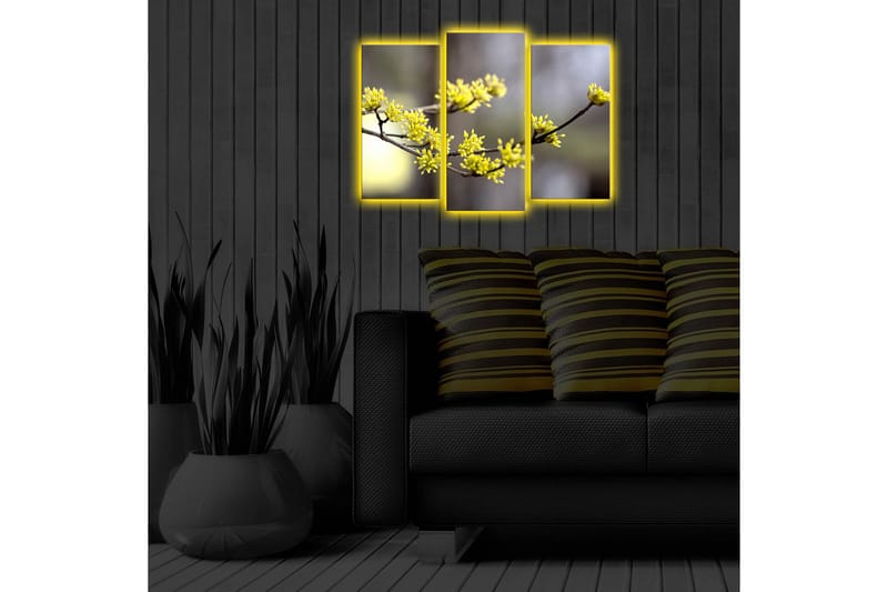 Canvasbilde Dekorativ LED-belysning 3 Deler - Flerfarget - Interiør - Maleri & posters - Lerretsbilder