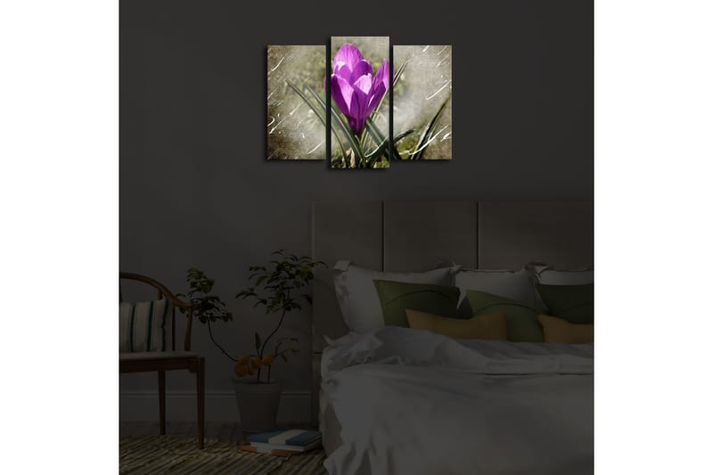 Canvasbilde Dekorativ LED-belysning 3 Deler - Flerfarget - Interiør - Maleri & posters - Lerretsbilder