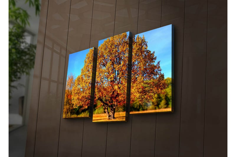 Canvasbilde Dekorativ LED-belysning 3 Deler - Flerfarget - Interiør - Maleri & posters - Lerretsbilder