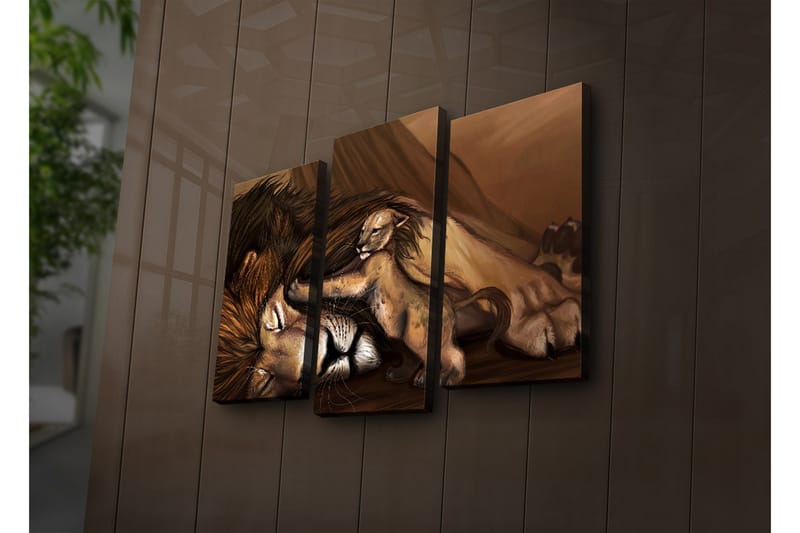 Canvasbilde Dekorativ LED-belysning 3 Deler - Flerfarget - Interiør - Maleri & posters - Lerretsbilder