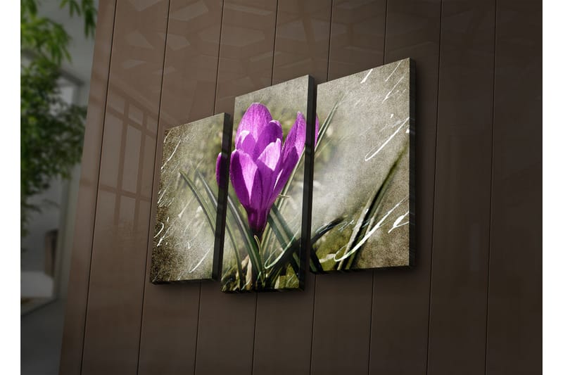 Canvasbilde Dekorativ LED-belysning 3 Deler - Flerfarget - Interiør - Maleri & posters - Lerretsbilder