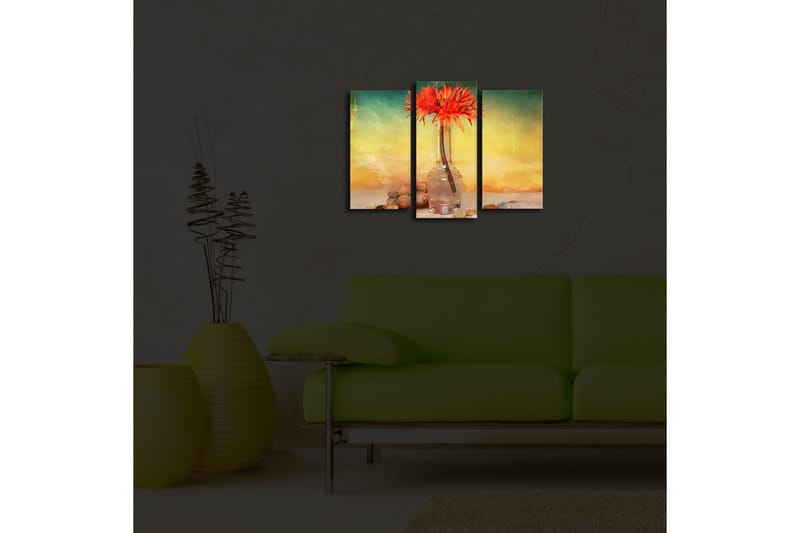 Canvasbilde Dekorativ LED-belysning 3 Deler - Flerfarget - Interiør - Maleri & posters - Lerretsbilder