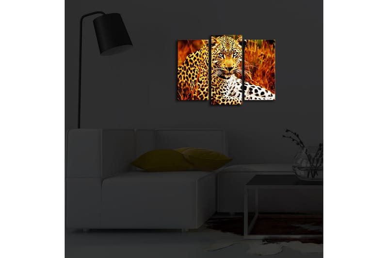 Canvasbilde Dekorativ LED-belysning 3 Deler - Flerfarget - Interiør - Maleri & posters - Lerretsbilder
