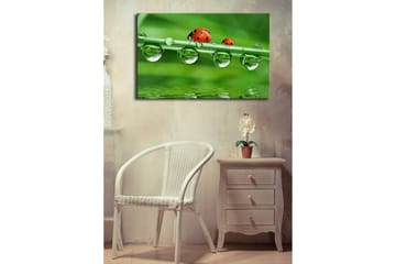 Canvasbilde Dekorativ LED-belysning - Flerfarget - Interiør - Maleri & posters - Lerretsbilder