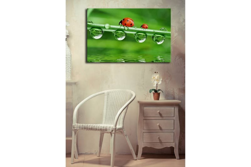 Canvasbilde Dekorativ LED-belysning - Flerfarget - Interiør - Maleri & posters - Lerretsbilder