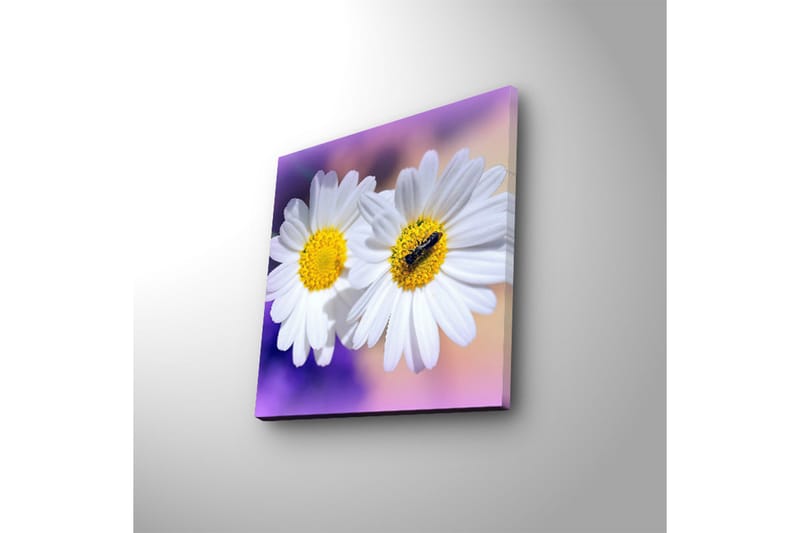Canvasbilde Dekorativ LED-belysning - Flerfarget - Interiør - Maleri & posters - Lerretsbilder