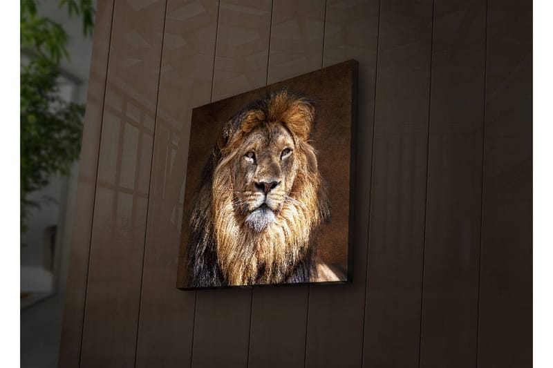 Canvasbilde Dekorativ LED-belysning - Flerfarget - Interiør - Maleri & posters - Lerretsbilder