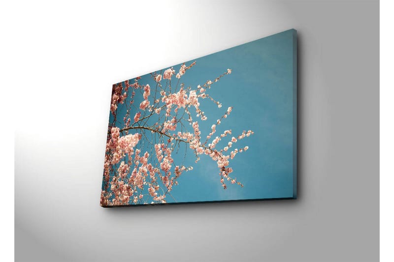Canvasbilde Dekorativ LED-belysning - Flerfarget - Interiør - Maleri & posters - Lerretsbilder