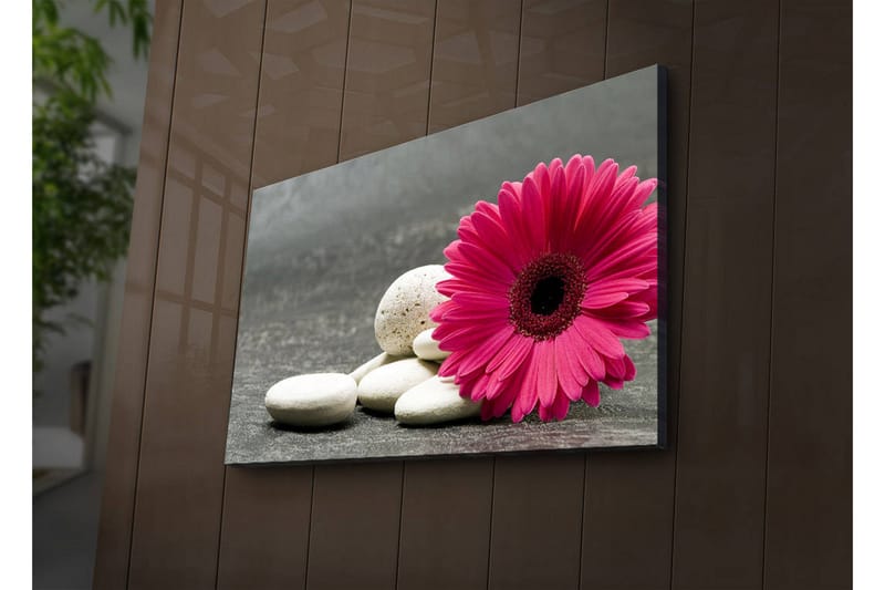 Canvasbilde Dekorativ LED-belysning - Flerfarget - Interiør - Maleri & posters - Lerretsbilder
