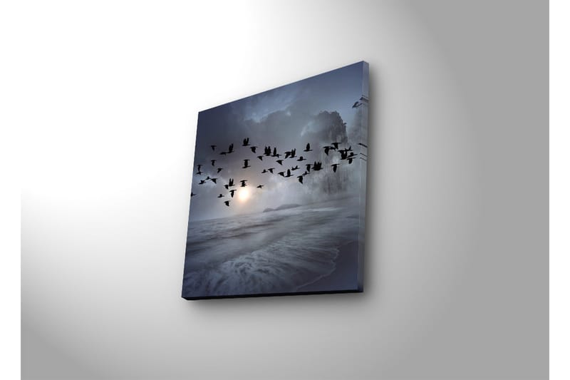 Canvasbilde Dekorativ LED-belysning - Flerfarget - Interiør - Maleri & posters - Lerretsbilder