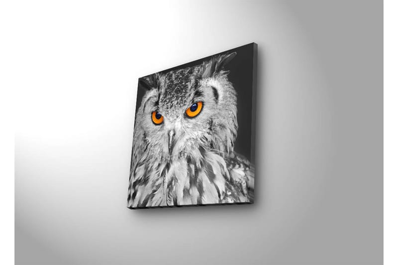Canvasbilde Dekorativ LED-belysning - Flerfarget - Interiør - Maleri & posters - Lerretsbilder