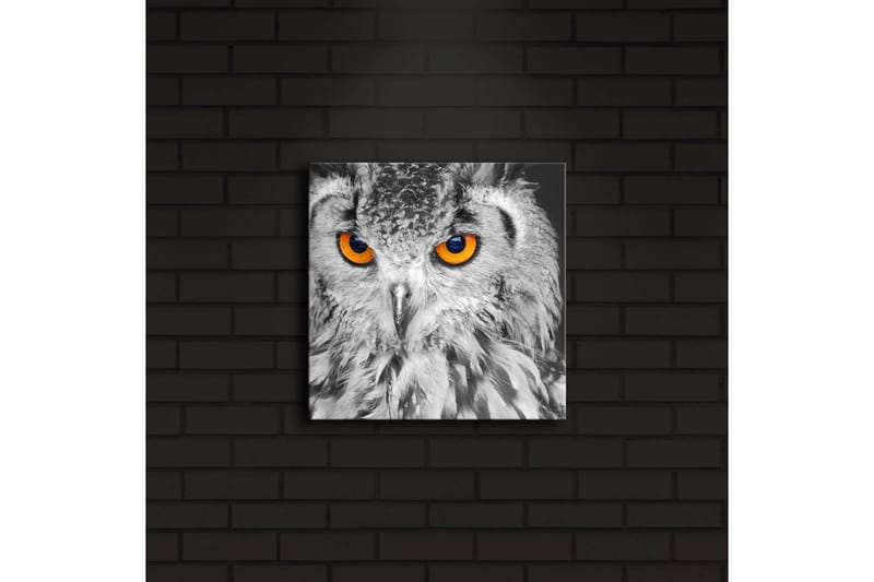 Canvasbilde Dekorativ LED-belysning - Flerfarget - Interiør - Maleri & posters - Lerretsbilder