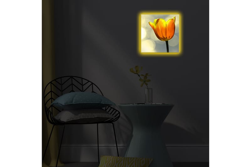Canvasbilde Dekorativ LED-belysning - Flerfarget - Interiør - Maleri & posters - Lerretsbilder