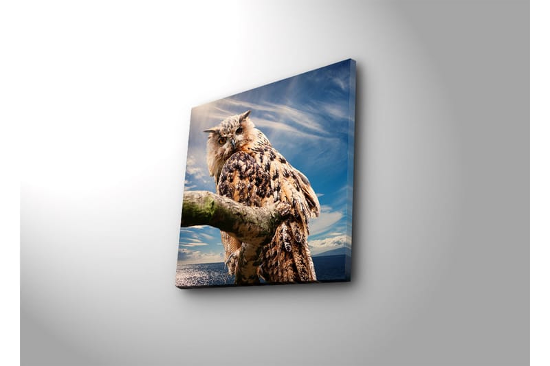 Canvasbilde Dekorativ LED-belysning - Flerfarget - Interiør - Maleri & posters - Lerretsbilder