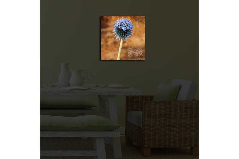 Canvasbilde Dekorativ LED-belysning - Flerfarget - Interiør - Maleri & posters - Lerretsbilder