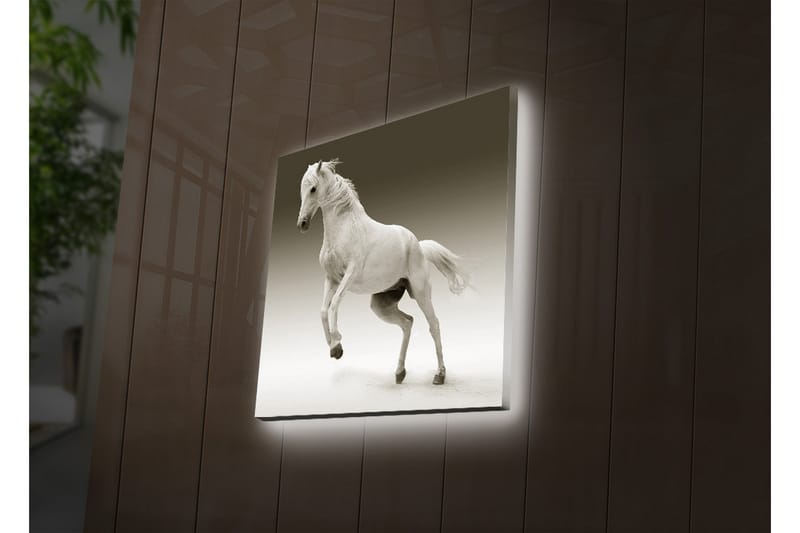 Canvasbilde Dekorativ LED-belysning - Flerfarget - Interiør - Maleri & posters - Lerretsbilder