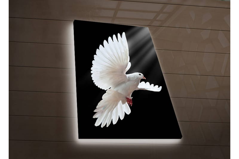 Canvasbilde Dekorativ LED-belysning - Flerfarget - Interiør - Maleri & posters - Lerretsbilder
