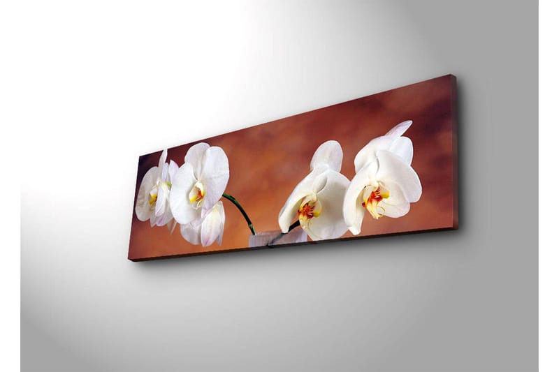 Canvasbilde Dekorativ LED-belysning - Flerfarget - Interiør - Maleri & posters - Lerretsbilder