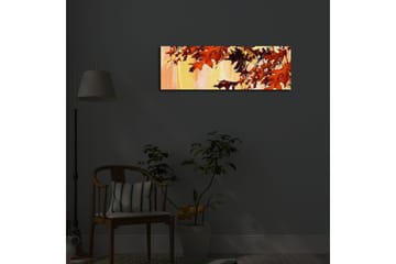 Canvasbilde Dekorativ LED-belysning - Flerfarget - Interiør - Maleri & posters - Lerretsbilder
