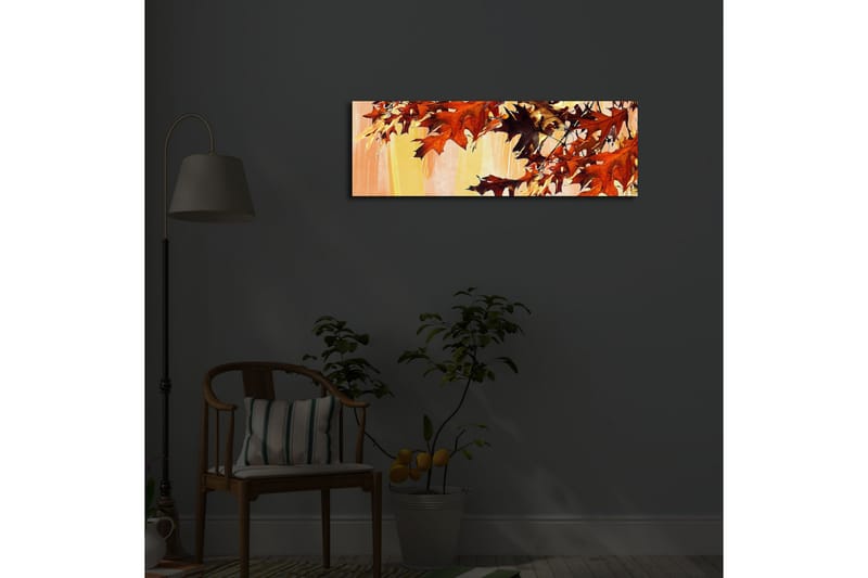 Canvasbilde Dekorativ LED-belysning - Flerfarget - Interiør - Maleri & posters - Lerretsbilder