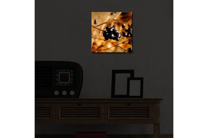 Canvasbilde Dekorativ LED-belysning - Flerfarget - Interiør - Maleri & posters - Lerretsbilder