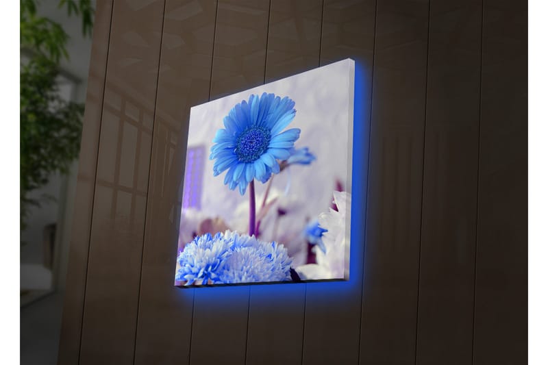 Canvasbilde Dekorativ LED-belysning - Flerfarget - Interiør - Maleri & posters - Lerretsbilder