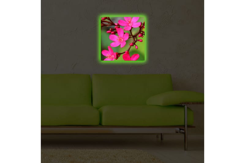 Canvasbilde Dekorativ LED-belysning - Flerfarget - Interiør - Maleri & posters - Lerretsbilder