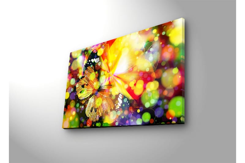 Canvasbilde Dekorativ LED-belysning - Flerfarget - Interiør - Maleri & posters - Lerretsbilder