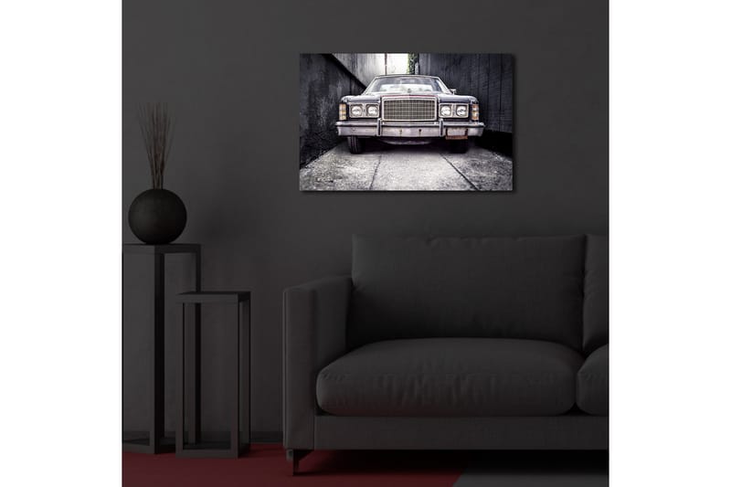 Canvasbilde Dekorativ LED-belysning - Flerfarget - Interiør - Maleri & posters - Lerretsbilder