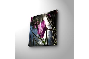 Canvasbilde Dekorativ LED-belysning - Flerfarget - Interiør - Maleri & posters - Lerretsbilder