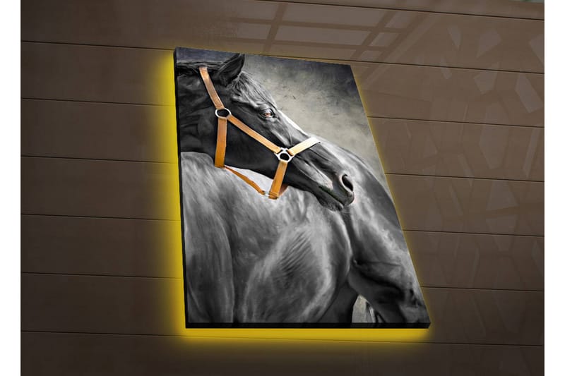 Canvasbilde Dekorativ LED-belysning - Flerfarget - Interiør - Maleri & posters - Lerretsbilder