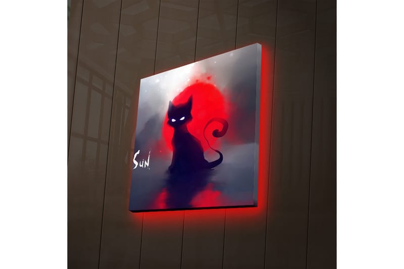 Canvasbilde Dekorativ LED-belysning - Flerfarget - Interiør - Maleri & posters - Lerretsbilder