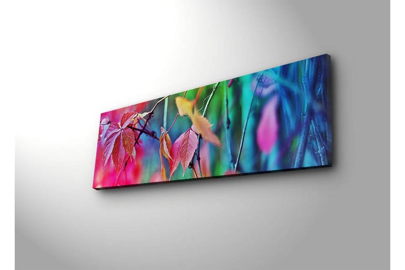 Canvasbilde Dekorativ LED-belysning - Flerfarget - Interiør - Maleri & posters - Lerretsbilder