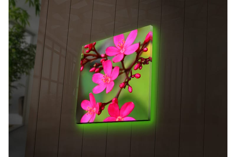 Canvasbilde Dekorativ LED-belysning - Flerfarget - Interiør - Maleri & posters - Lerretsbilder
